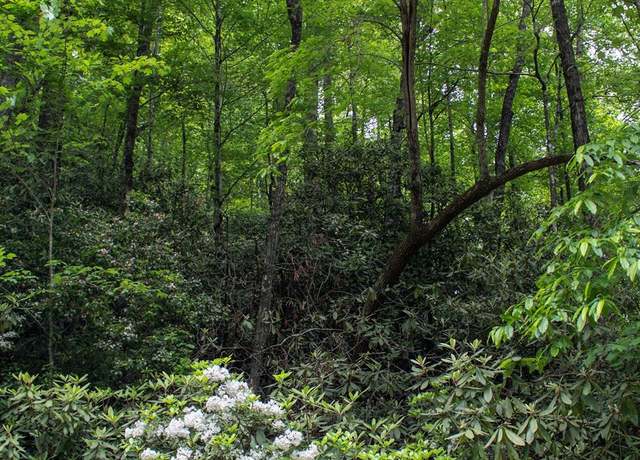 Property at TBD Fox Den Rd Lot 57&59, Brevard, NC 28712