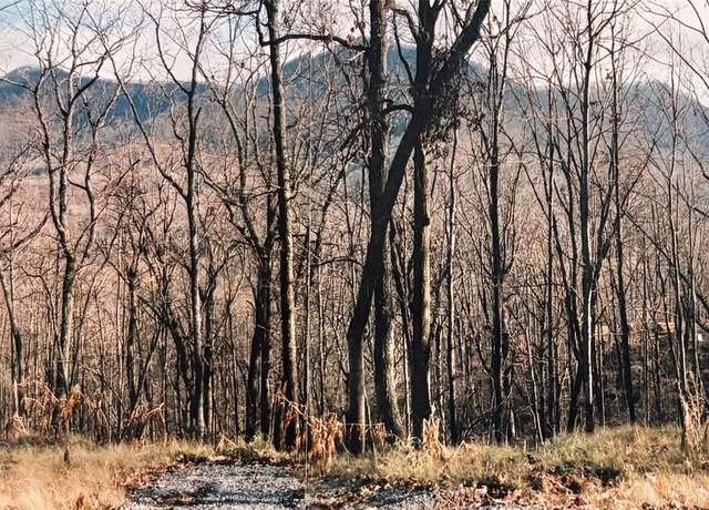 Property at 24 Anns Ln, Hayesville, NC 28904