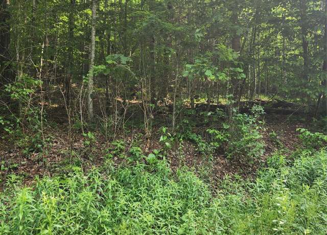 Property at 00 Poplar Creek Rd, Green Mountain, NC 28740