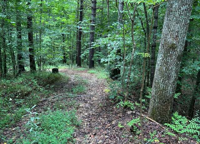 Property at 645 Tunnel Rd Unit 157 & 158, Marion, NC 28752