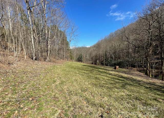 Property at 81 Peepeye Cove Rd, Leicester, NC 28748