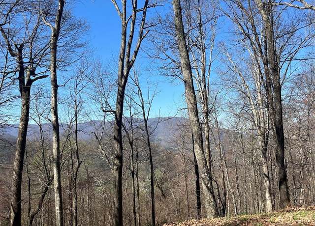 Property at 000 Weatherwatch Ln, Waynesville, NC 28786