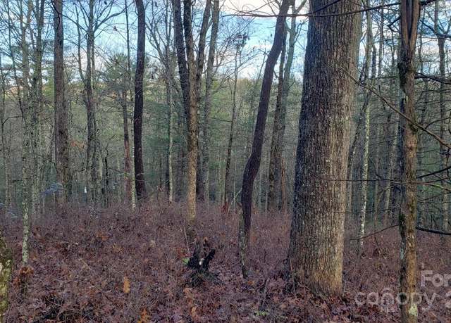 Property at 9999 Cedar Ln, Brevard, NC 28712