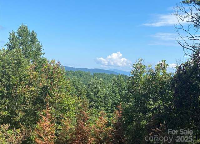Property at 125 Brindlewood Dr Unit 55v/56v/57v, Nebo, NC 28761