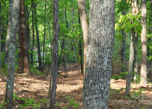 Property at 55 Arbra Mountain Way, Bostic, NC 28018