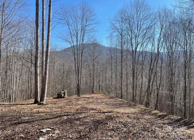 Property at Lt 264 Cabin Flats Rd #264, Sylva, NC 28779