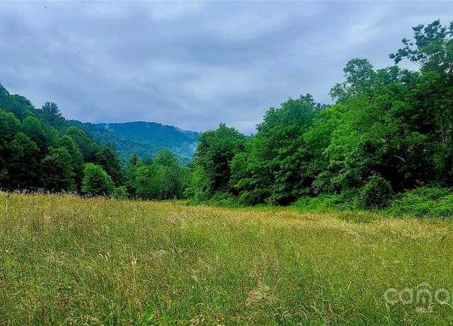 Property at 5595 Meadow Fork Rd, Hot Springs, NC 28743