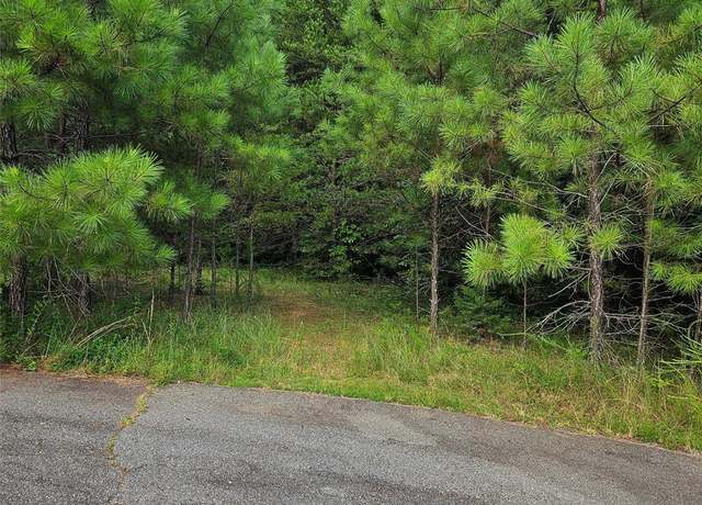 Property at 0 Pumkin Patch None, Rutherfordton, NC 28139