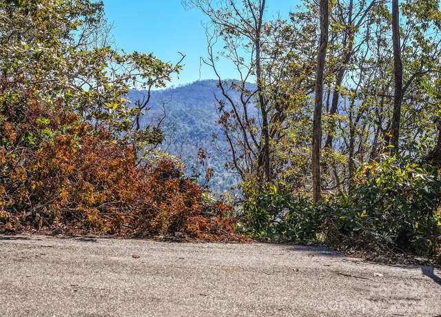 Property at Lots 2, 135 and Pt 136 High Bluff Dr, Weaverville, NC 28787