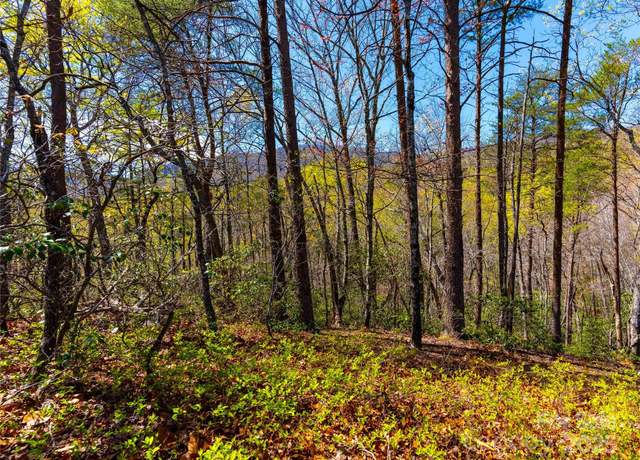 Property at 107 Deep Gap Rd E, Mill Spring, NC 28756