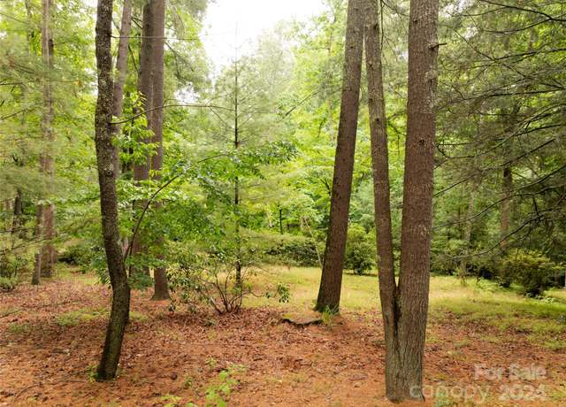 Property at 50 Forest Rd, Asheville, NC 28803