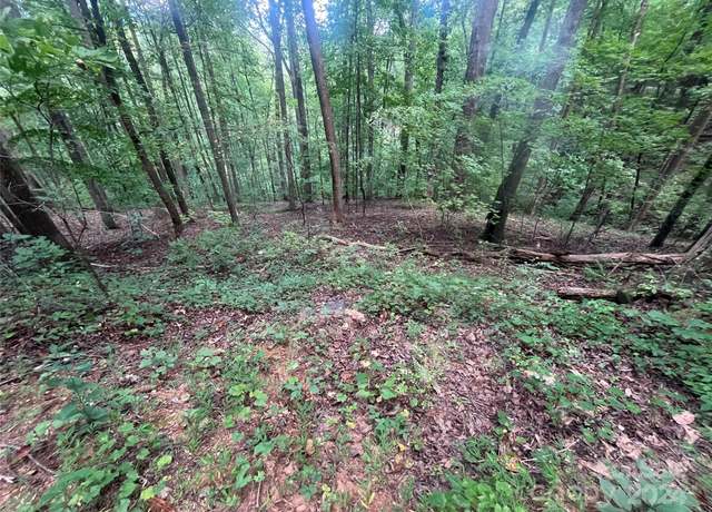 Property at 0 Luther Burbank Dr, Lake Lure, NC 28746