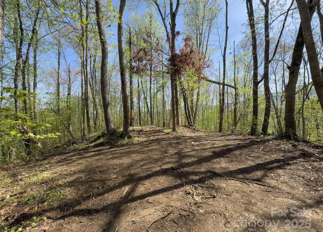 Property at Lot 64 Big Springs Trl #64, Qualla, NC 28719