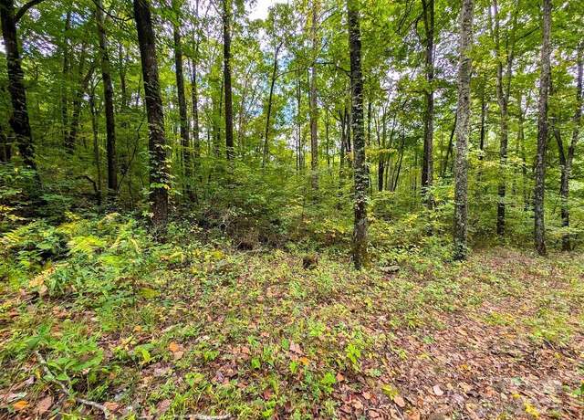 Property at 00 Staghorn Dr, Waynesville, NC 28785