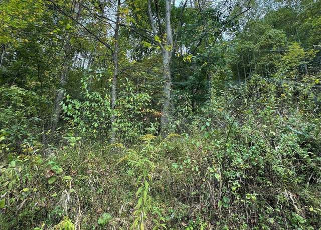 Property at 9999 West Rd, Hot Springs, NC 28743