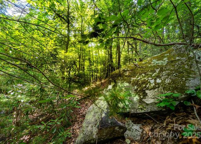 Property at 00000 Foster Hill Dr #3, Hendersonville, NC 28739