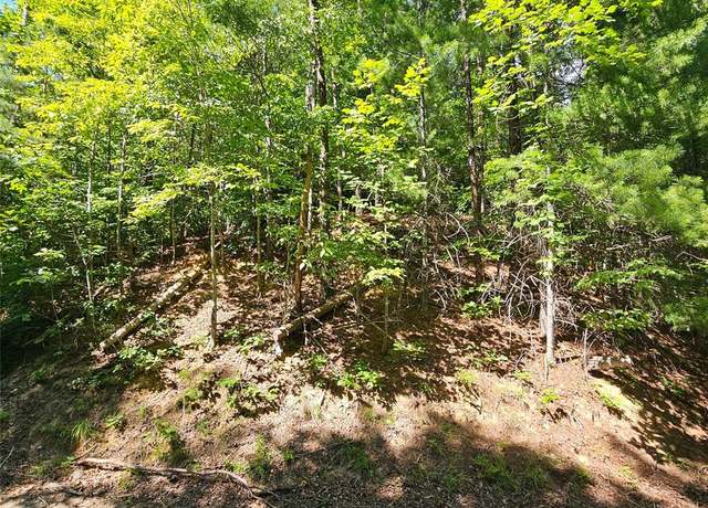 Property at 0 Lark St #305, Lake Lure, NC 28746