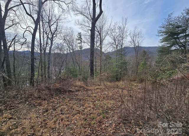 Property at 425 Crocus Ln, Dillsboro, NC 28725