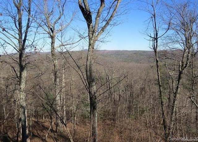 Property at 212 W Chestnut Ridges Rd, Hendersonville, NC 28739