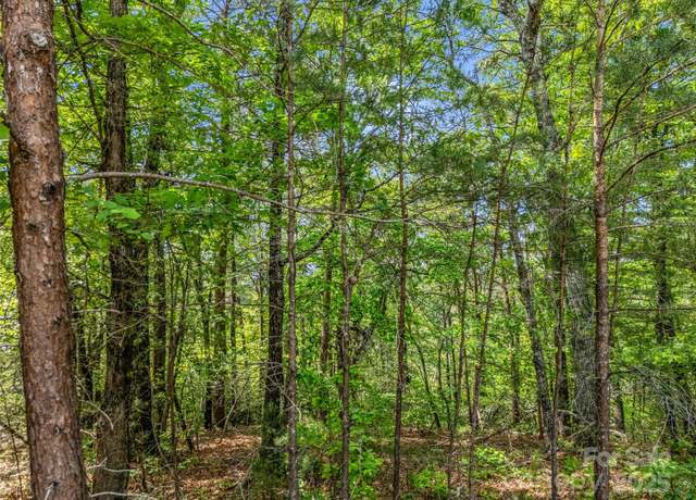 Property at 4 Woodward Dr, Mill Spring, NC 28756