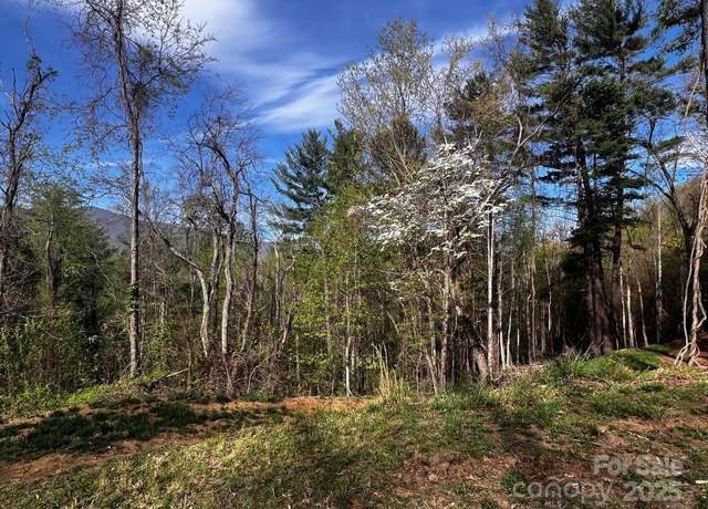 Property at 0 Little Creek Dr Unit 5A, Canton, NC 28716