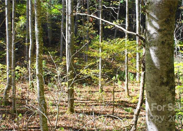 Property at 444 Culvin Creek Rd Unit 145 ACRES, Marshall, NC 28753