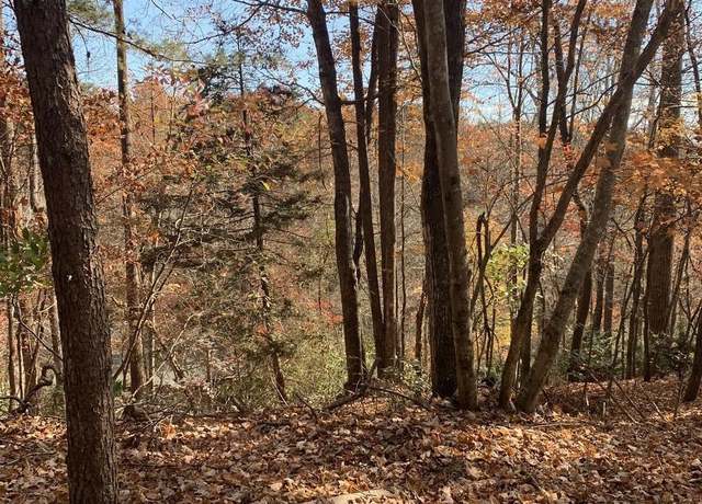 Property at 119 W Wilderness Rd, Lake Lure, NC 28746