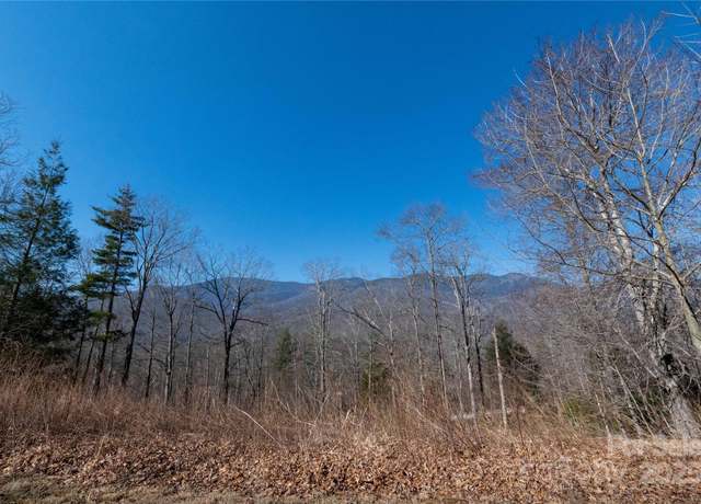 Property at 000 Mt. Mitchell Dr, Burnsville, NC 28714