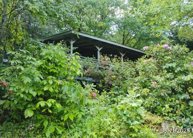 Property at 33 Horse Cove Rd, Canton, NC 28716, 3 beds, 1 bath