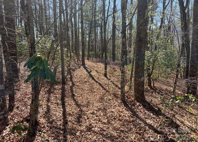 Property at TBD Panther Ridge Rd, Lake Toxaway, NC 28747