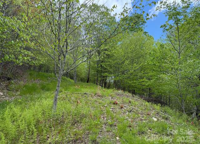 Property at 4 Fox Pointe Dr #4, Banner Elk, NC 28604