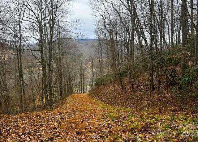Property at 19 Flowing Hills Dr Unit 19, 20, Clyde, NC 28721