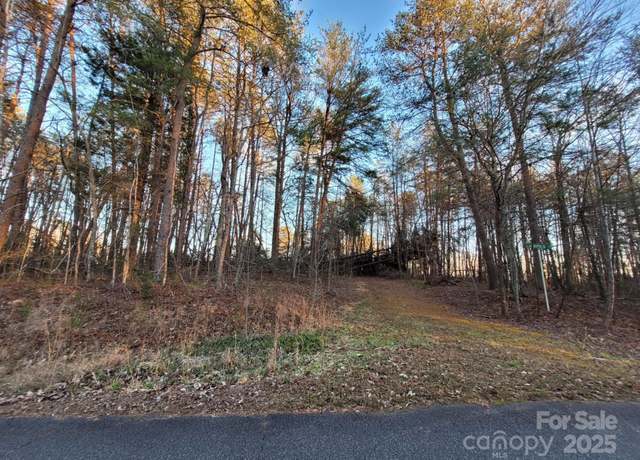 Property at 00 Washburn Ln, Rutherfordton, NC 28139