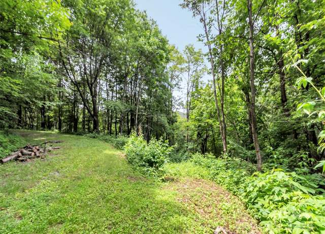 Property at 32 Sallywood Trl, Waynesville, NC 28785