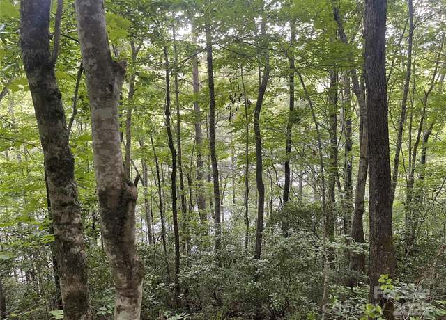 Property at 2642 Canada Rd, Tuckasegee, NC 28783