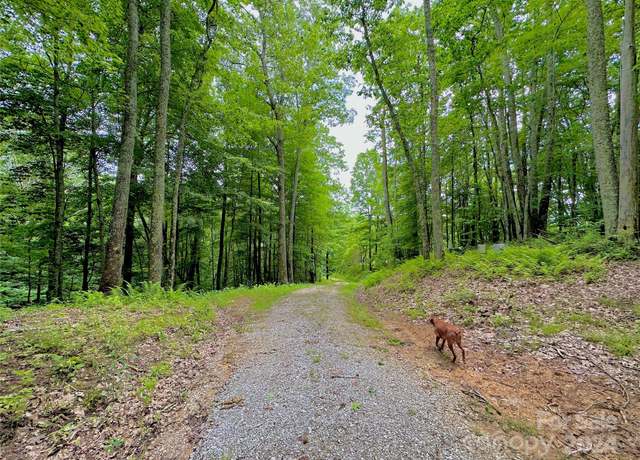 Property at 149 Painter Rd, Banner Elk, NC 28604