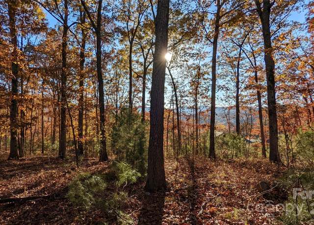 Property at 512 Wild River Run #65, Marshall, NC 28753