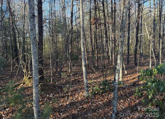 Property at 16-16 Waters Edge Dr Unit 16-16, Nebo, NC 28761