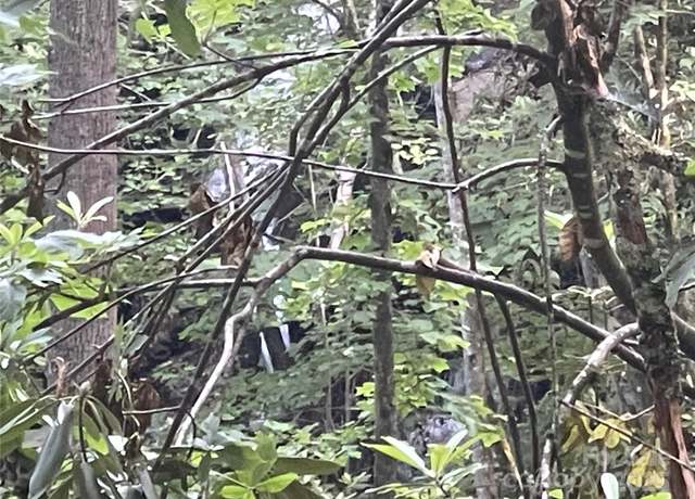 Property at 2600 Canada Rd, Tuckasegee, NC 28783