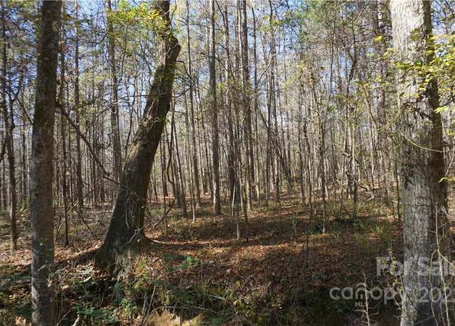 Property at 10.64 AC Burree Rd #6, Clover, SC 29710