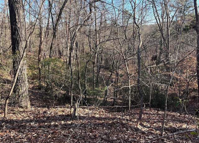 Property at 0 Sparrows Way #68, Lake Lure, NC 28746