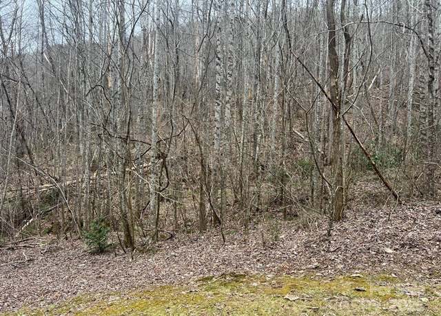 Property at 0 English Setter Trl Lot 8, Whittier, NC 28789