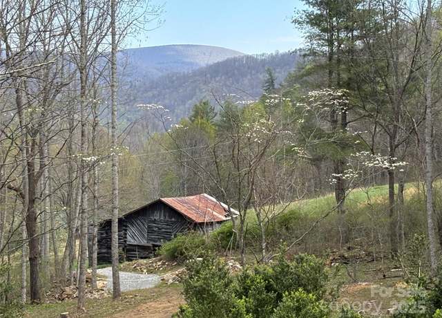Property at (East Lot) TBD Silas Branch Rd, Burnsville, NC 28714