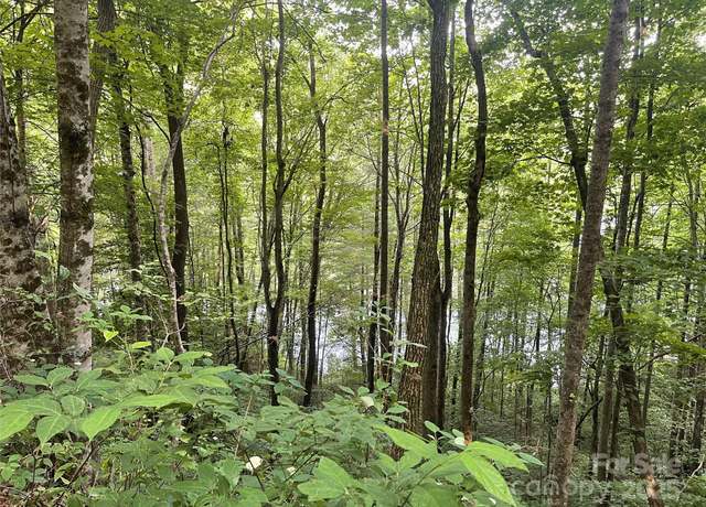 Property at 200 Sweet Birch Ln, Tuckasegee, NC 28783