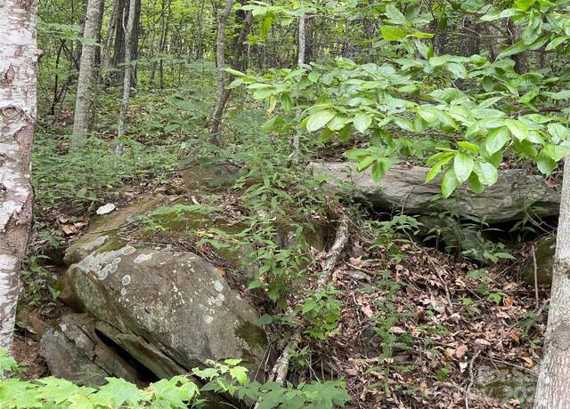 Property at 0000 Lytle Cove Rd, Swannanoa, NC 28778
