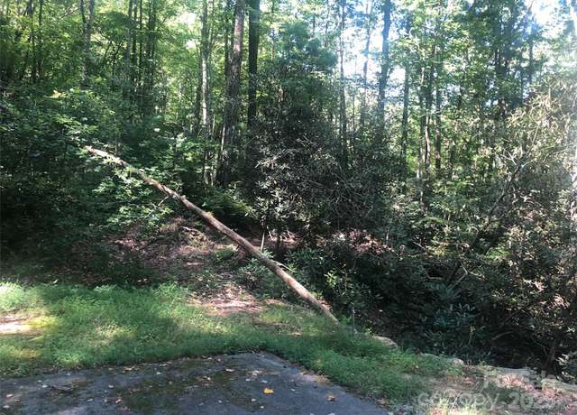 Property at TBD Peppervine Cir #94, Rosman, NC 28772