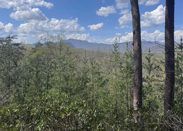 Property at 0 High Pines Loop #162, Lake Lure, NC 28746