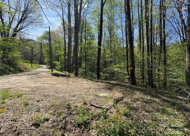 Property at TBD (B) Browning Branch Rd, Waynesville, NC 28786