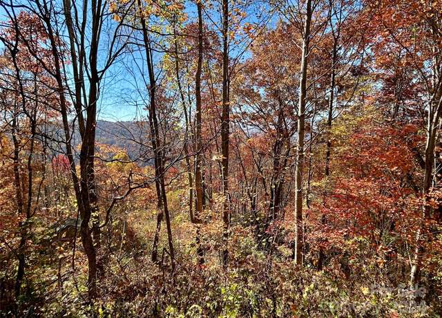 Property at 0 Grizzly Rdg #57, Bryson City, NC 28713