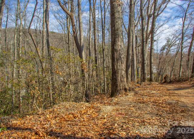 Property at 00 Meandering Trl, Asheville, NC 28806
